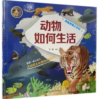 音像动物如何生活王晶 编
