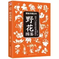 音像野花图鉴:揭开179种野花的神秘面纱付彦荣