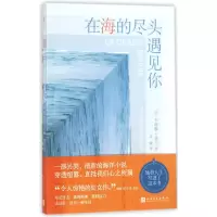 音像在海的尽头遇见你(法)卡琳·兰|译者:孟婕