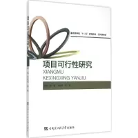 音像项目可行研究田洋,王成东,崔嵩 主编