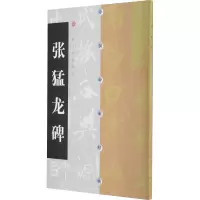 音像张猛龙碑上海书画出版社编
