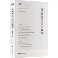 音像政治与律评:第十三辑:与国际法教育魏磊杰