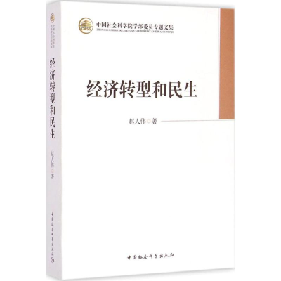 音像经济转型和民生赵人伟 著