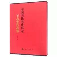 音像中国当代书法名家(王志安作品集)(精)王志安