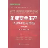 音像企业安全生产法律风险与防范:案例应用版路正,李金宝著
