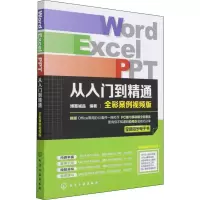 音像Word Excel PPT从入门到精通 全彩案例视频版博蓄诚品 编