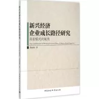 音像新兴经济企业成长路径研究龚丽敏 著