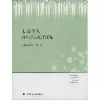音像未成年人刑事诉讼程序探究谢安平,郭华 主编