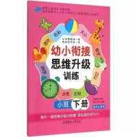 音像幼小衔接思维升级训练张耀明 主编