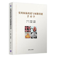 音像实用尿流改道与尿路重建手术学李胜文,韩瑞发