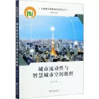 音像城市流动与智慧城市空间组织席广亮