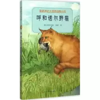 音像呼和诺尔野猫格日勒其木格·黑鹤 著