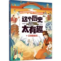 音像这个历史太有趣 辽宋夏金元齐吉祥