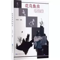 音像花鸟鱼虫动起来宋再红 编