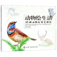 音像动物绘生活(38种动物色铅笔图绘)编者:漫果