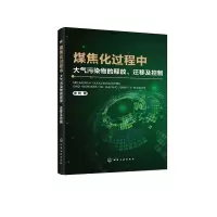 音像煤焦化过程中大气污染物的释放迁移及控制牟玲