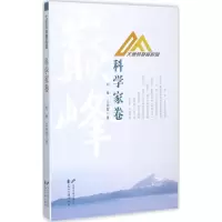 音像大师的时刻刘锋,王世哲 著