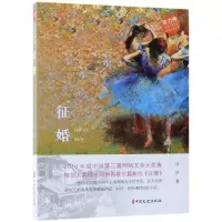 音像征婚/实力榜中国当代作家长篇小说文库刘伊