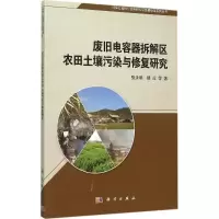音像废旧电容器拆解区农田土壤污染与修复研究骆永明 等 著