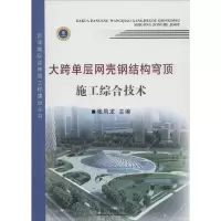 音像大跨单层网壳钢结构穹顶施工综合技术张凤龙 主编