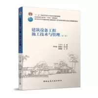 音像建筑设备工程施工技术与管理丁云飞主编