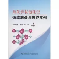 音像氧化锌和氮化铝薄膜制备与表征实例赵祥敏,赵文海 著