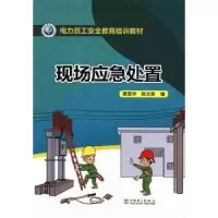 音像现场应急处置黄晋华,陈文英编