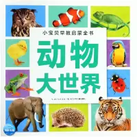 音像动物大世界/小宝贝早教启蒙全书编者:海豚低幼馆