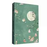 音像头上花枝照酒卮:宋词与宋人的心灵胜境王这么