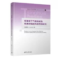 音像核事故下气载放核素的辐风险预测研究新