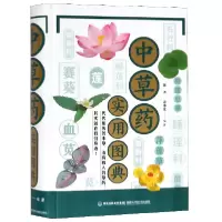 音像草实用图典(精)编者:蒋洪//宋纬文
