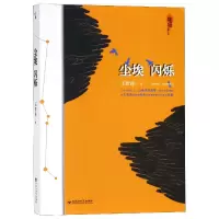 音像尘埃闪烁王哲珠
