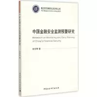 音像中国金融安全监测预警研究张安军 著