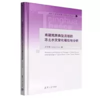 音像青藏高原典型流域的冻土水文变化模拟与分析王宇涵