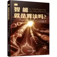 音像智能就是算法吗(精)(荷)安东宁·图因曼|译者:答凯艳//程国建