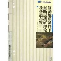 音像复杂地质条件下过断层找矿理论及巷道布置黄桂芝,吴强著