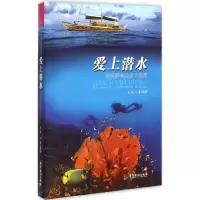 音像爱上潜水王洁 著