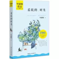 音像柔软的时光淑敏著