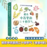 音像藏在里的二十四节气(全4册)刘兵
