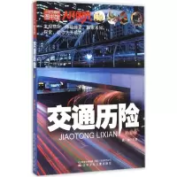 音像交通历险龚勋 主编