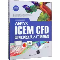 音像ANSYS ICEM CFD网格划分从入门到精通丁源 编