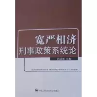 音像宽严相济刑事政策系统论刘沛谞