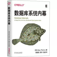 音像数据库系统内幕(美)亚历克斯·彼得罗夫(Alex Petrov)