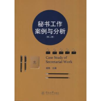 音像秘书工作案例与分析杨锋