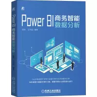音像Power BI商务智能数据分析赵悦,王忠超 编