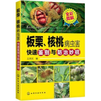 音像板栗、核桃病虫害快速鉴别与防治妙招王天元 编