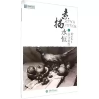 音像素描永恒杨孟,莫有悦 编著