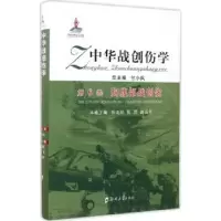 音像中华战创伤学(第六卷)-胸腹部战创伤付小兵总主编