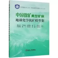 音像中国镍矿典型矿床地球化学找矿模型集龚庆杰[等]著
