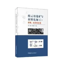 音像绢云母选矿与材料化加工:原理、技术和应用丁浩梁玉孙思佳